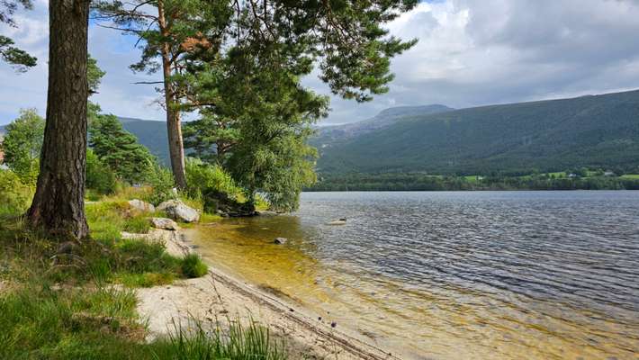 Husnes Camping