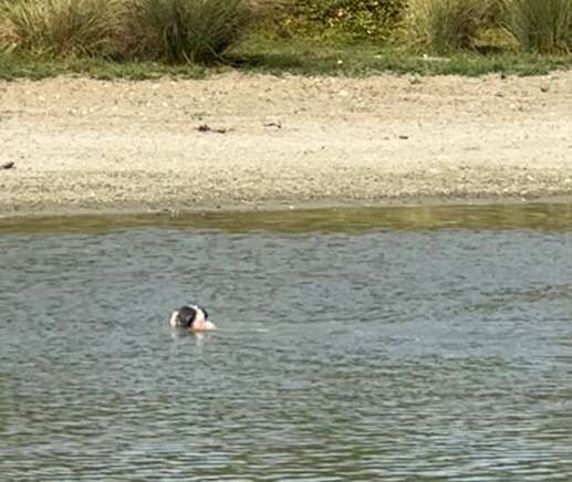 Een foto toegevoegd aan een locatie