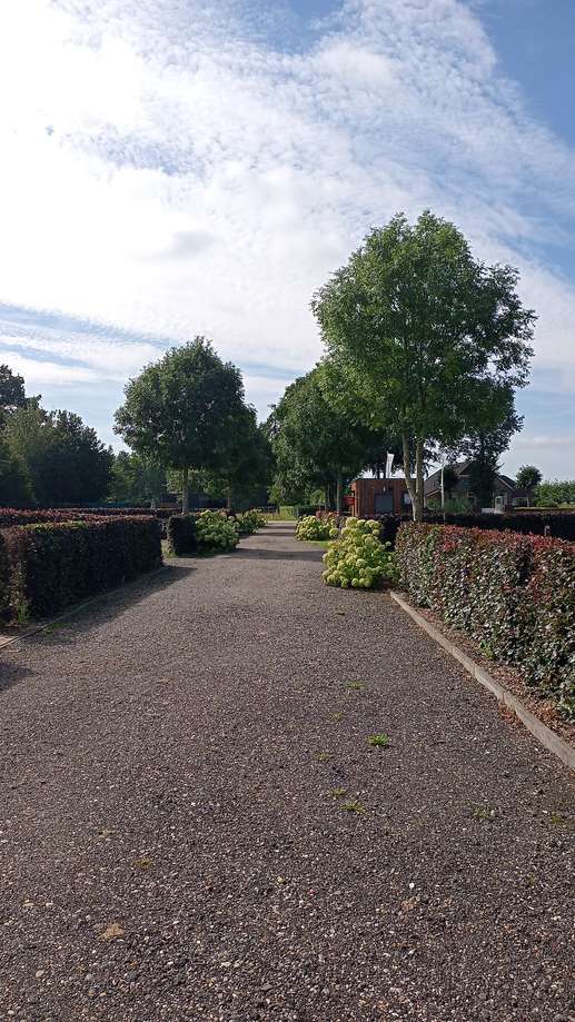 Een foto toegevoegd aan een locatie