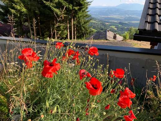 Einem Ort wurde ein Foto hinzugefügt