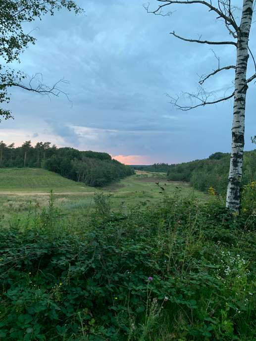 Added a photo to a location