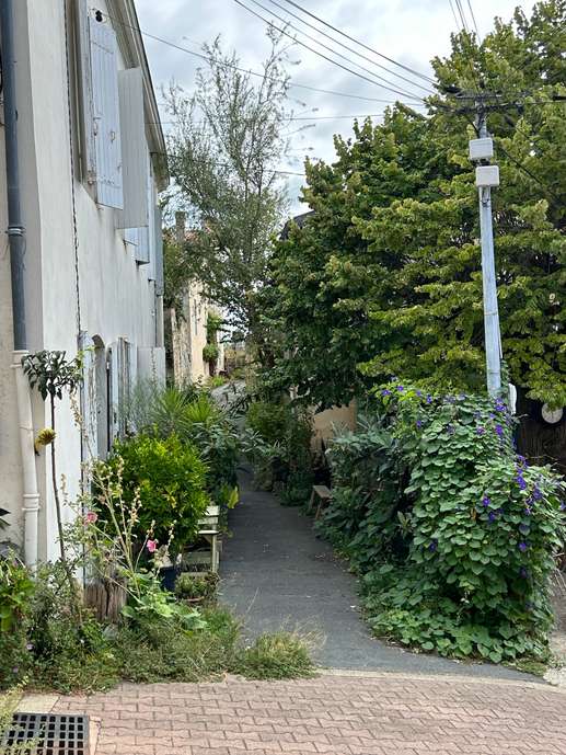Een foto toegevoegd aan een locatie