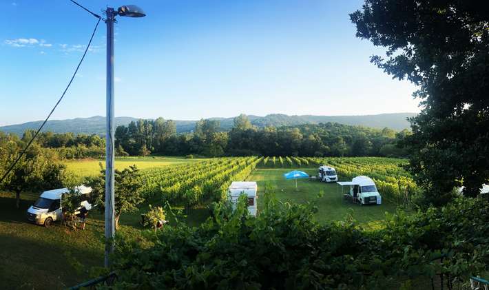 Purple Eye Estate - Camp & Winery
