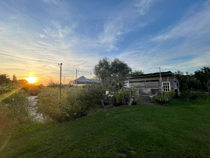 Bobs field Camping