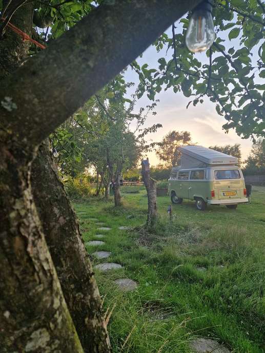 Een foto toegevoegd aan een locatie