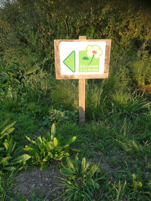 Ajout d'une photo à un emplacement