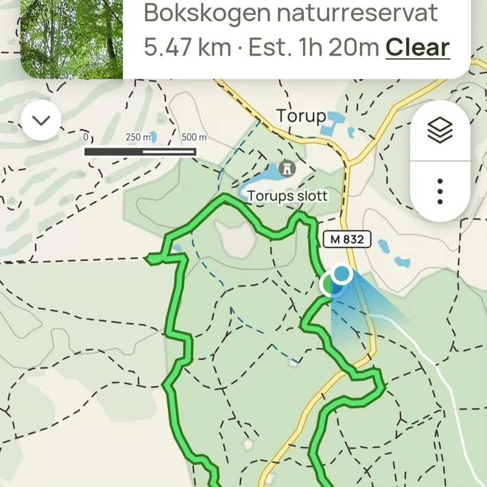 Bokskogen