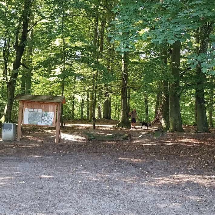 Bokskogen