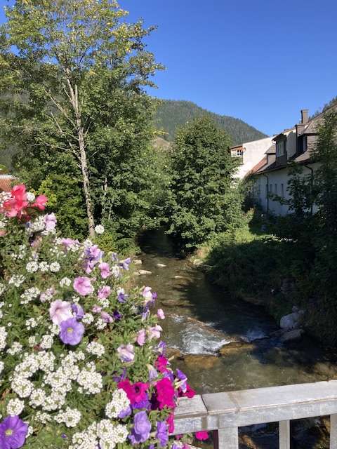 Added a photo to a location