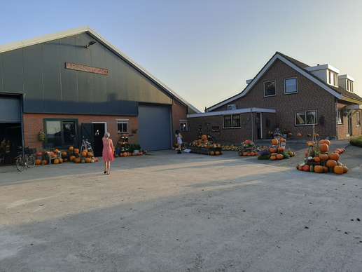 Added a photo to a location