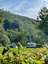 Camping Tintesmuhle