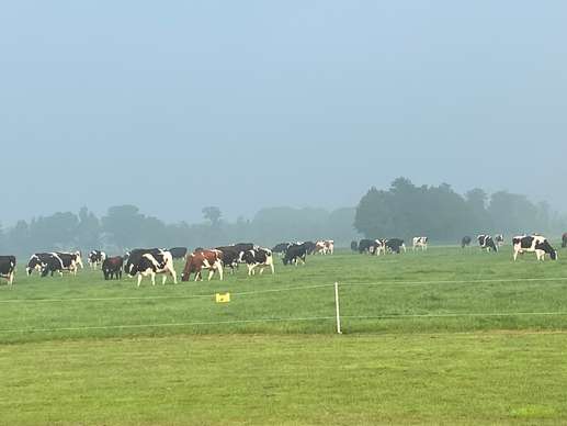 Een foto toegevoegd aan een locatie