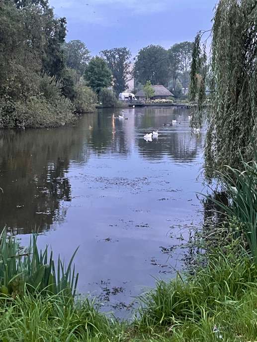Een foto toegevoegd aan een locatie