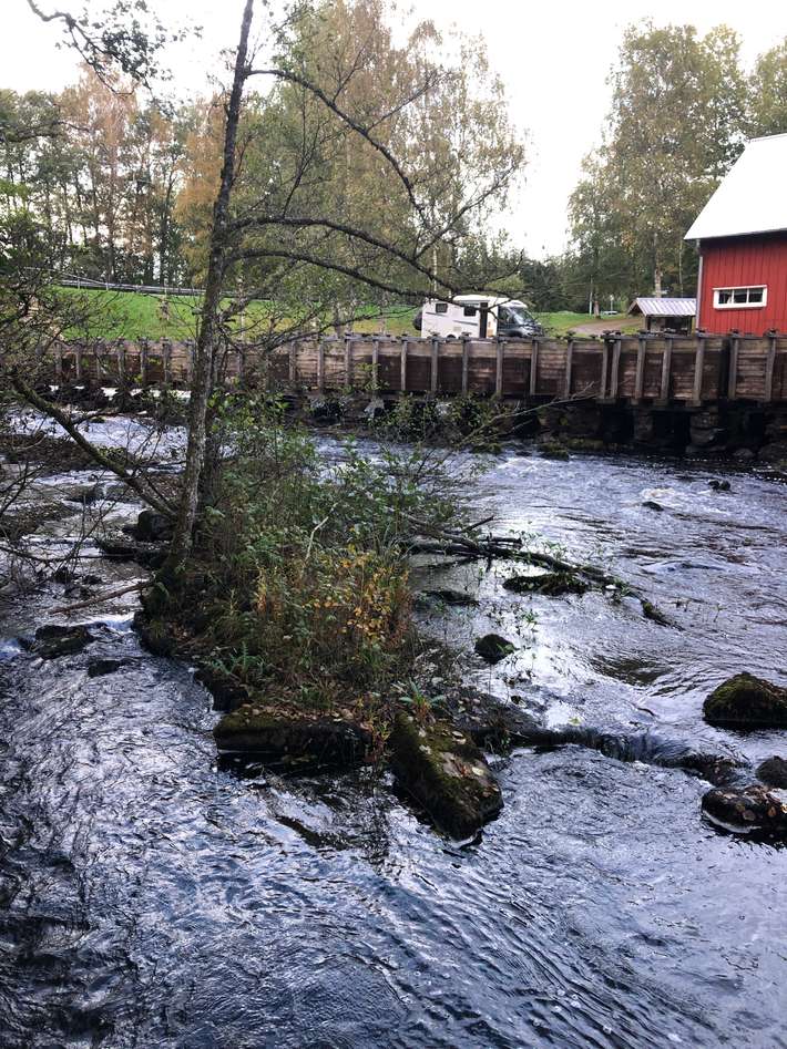 Brokvarn