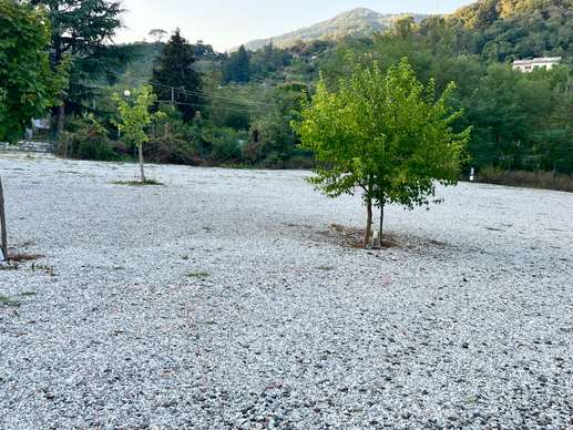 Added a photo to a location