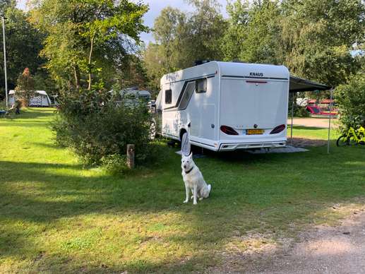 Een foto toegevoegd aan een locatie
