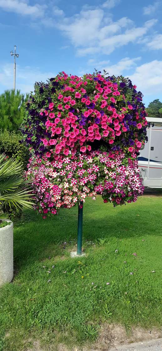 Added a photo to a location