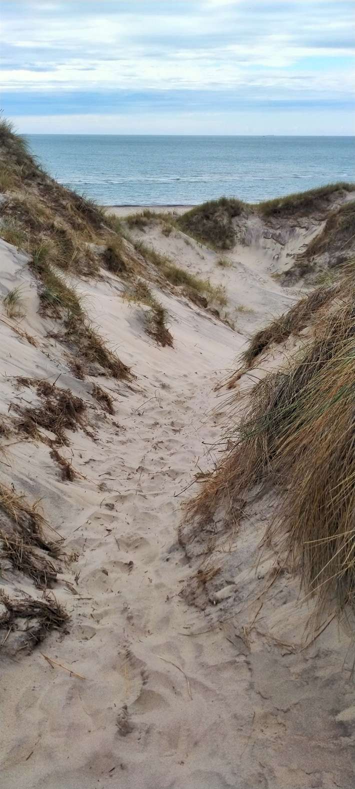 Kærsgård Strand