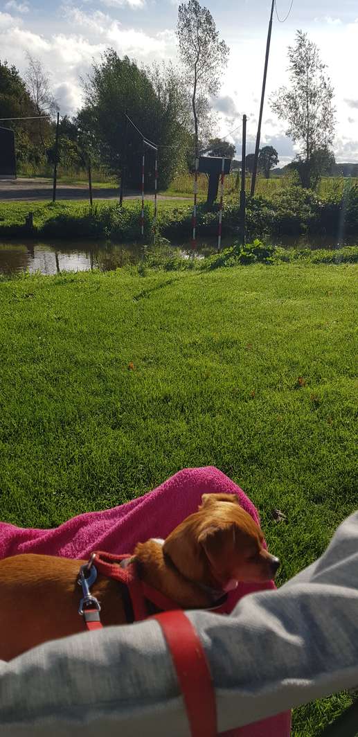 Een foto toegevoegd aan een locatie