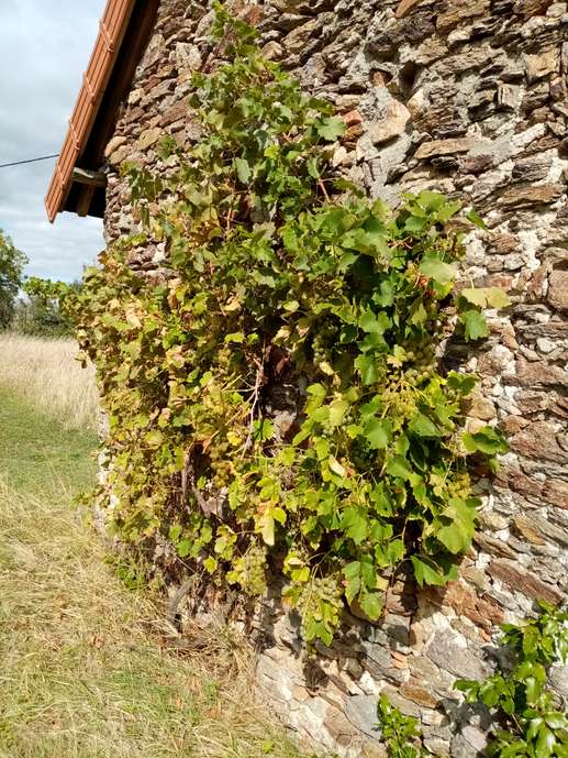 Aggiunta una foto a una posizione
