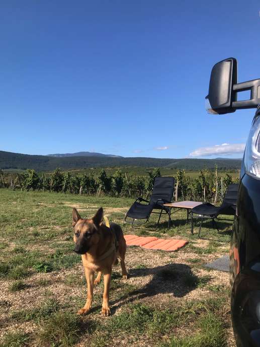 Aggiunta una foto a una posizione