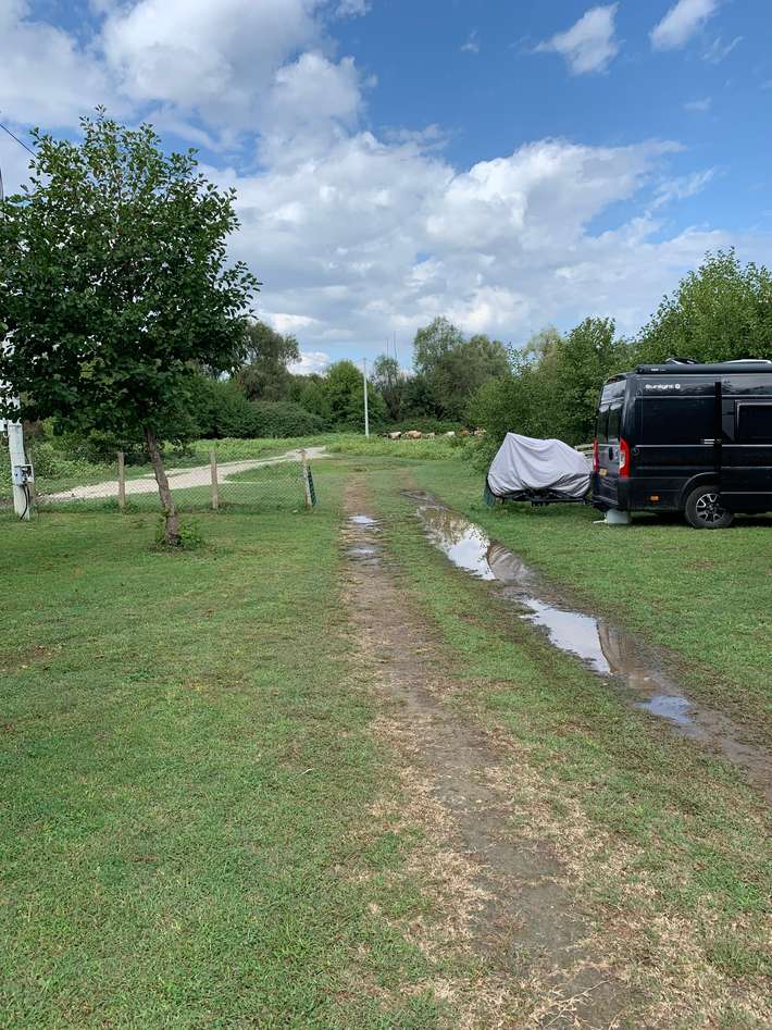 Camping Dodosi