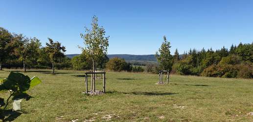 Added a photo to a location