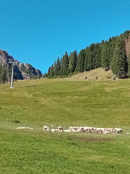 Añadió una foto a una ubicación