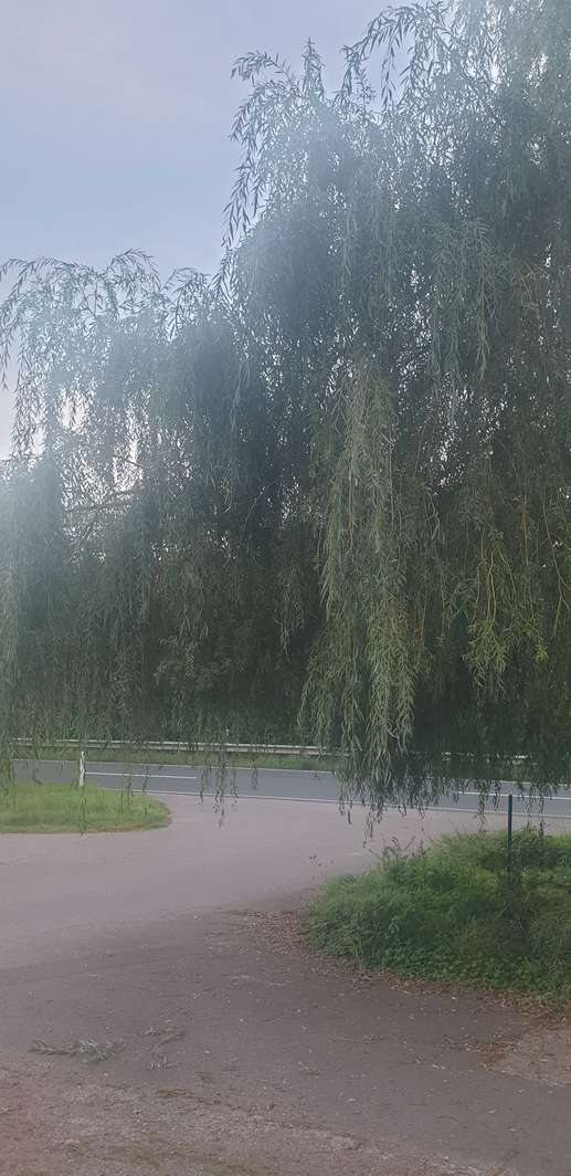 Added a photo to a location