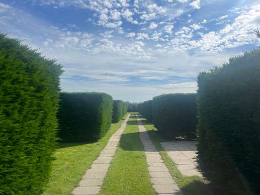 Een foto toegevoegd aan een locatie