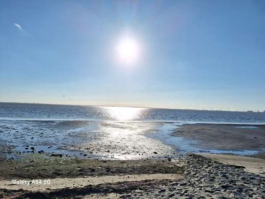 Added a photo to a location