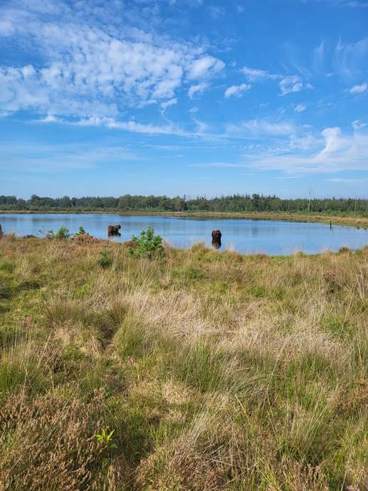 Een foto toegevoegd aan een locatie