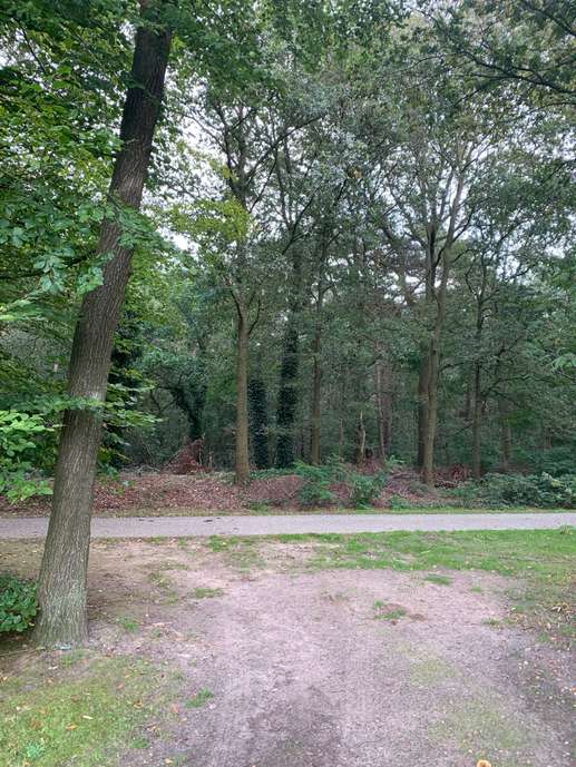 Added a photo to a location