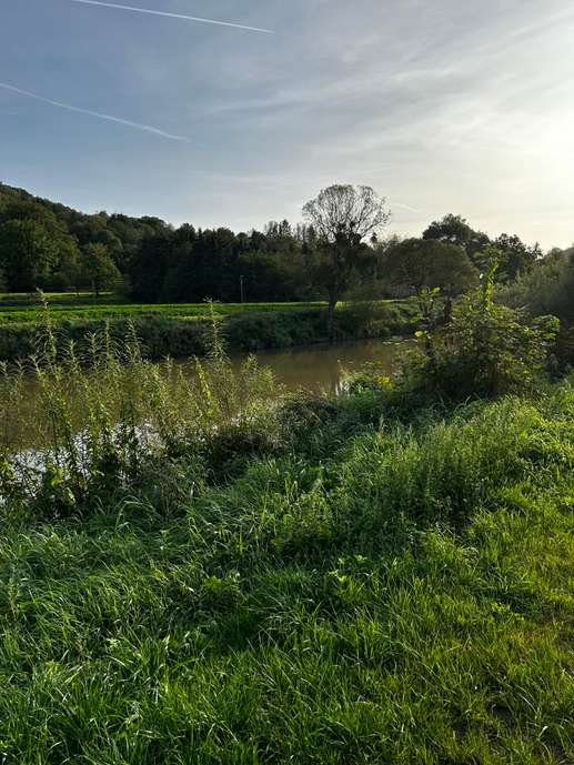 Added a photo to a location