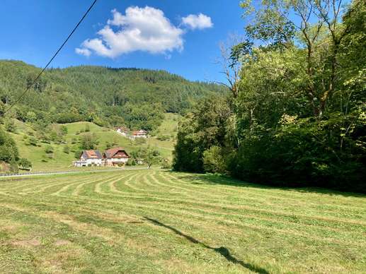 Added a photo to a location