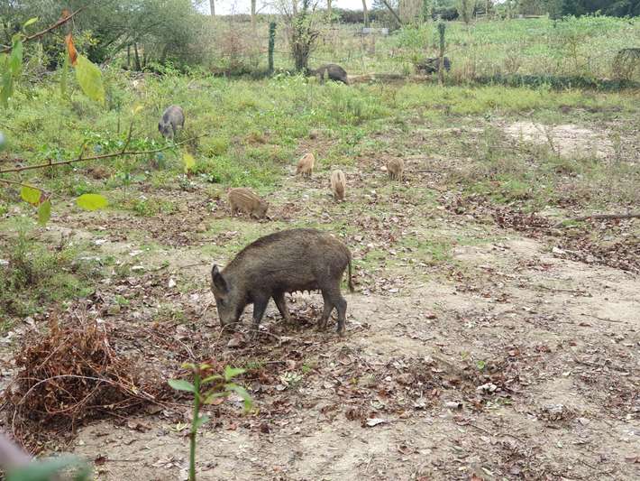 La Ferme Aux Cerfs