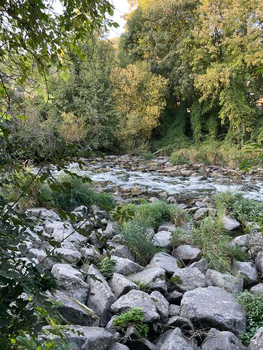Added a photo to a location