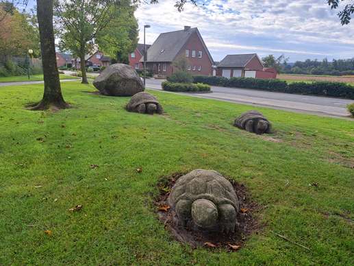 Een foto toegevoegd aan een locatie