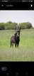 Delareyville Ranch