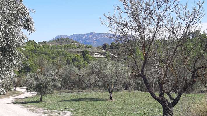 Camping Rural La Masia