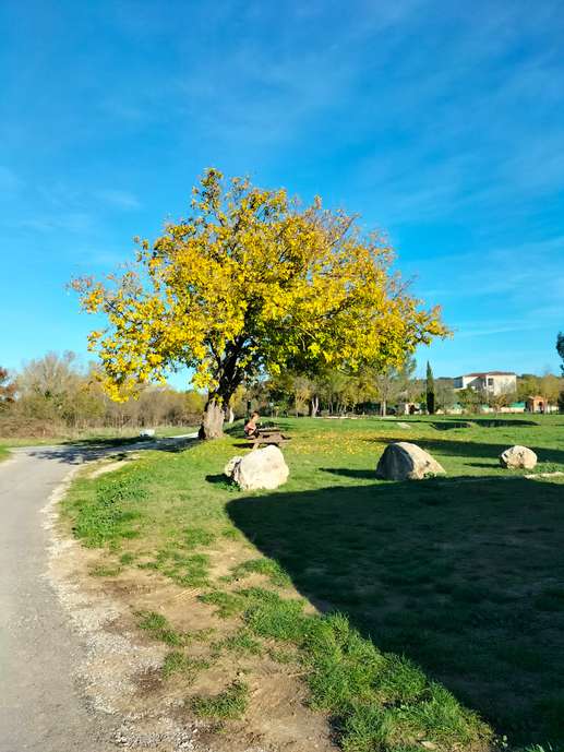 Added a photo to a location