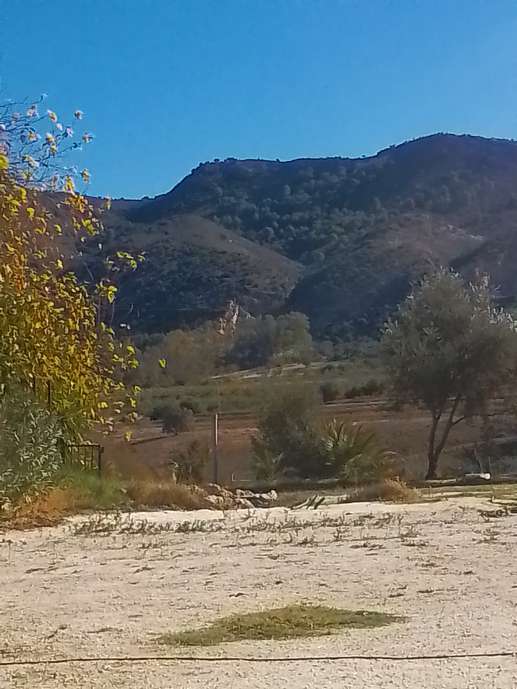 Aggiunta una foto a una posizione