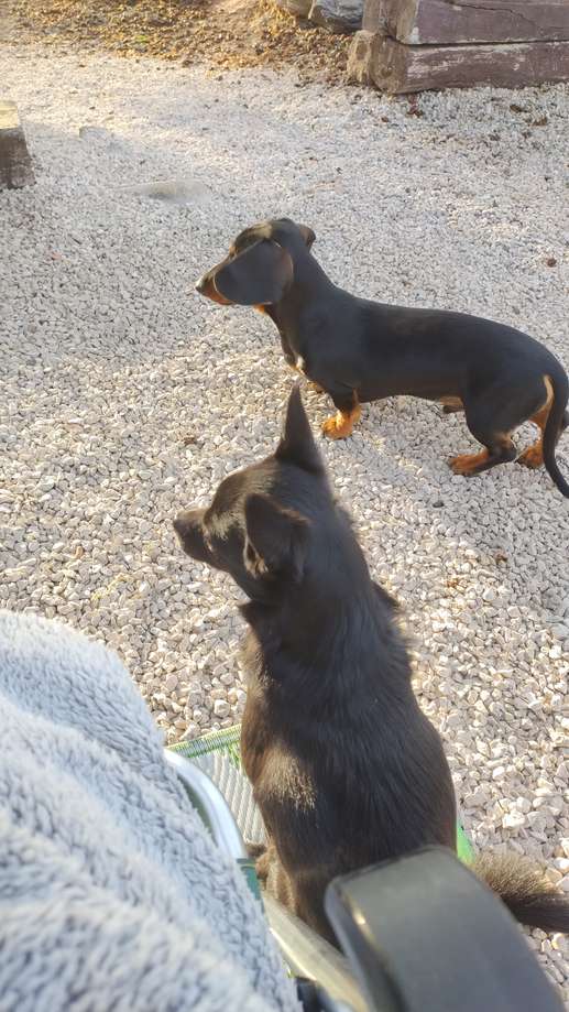 Aggiunta una foto a una posizione