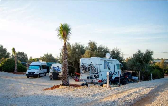 Oasis camp