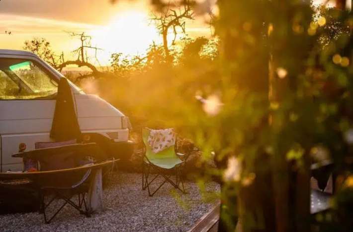 Oasis camp