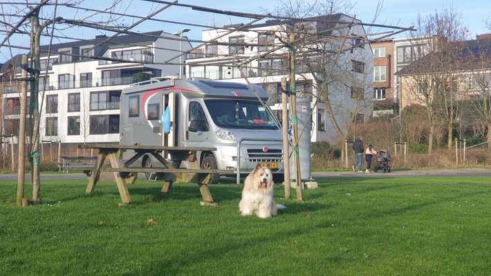 Mobilehomeparking De Zaat