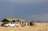 Sossus Oasis Campsite