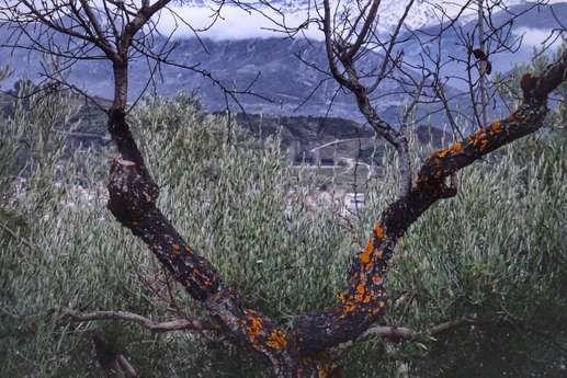 Added a photo to a location