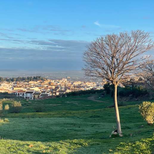 Ajout d'une photo à un emplacement