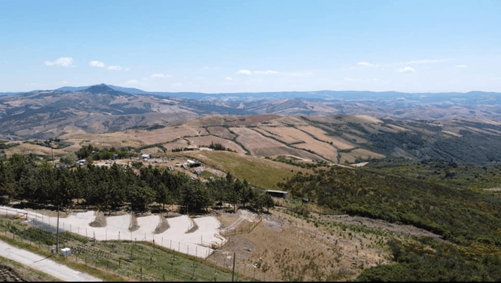 Agrisosta Fabbrini